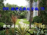 售桃園市觀音區66藍埔-豪華農舍農舍2,980萬