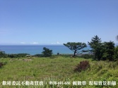 售宜蘭縣頭城鎮蘭陽博物館【蜻蜓石民宿】31366豪宅民宿景觀農地農地1.2億